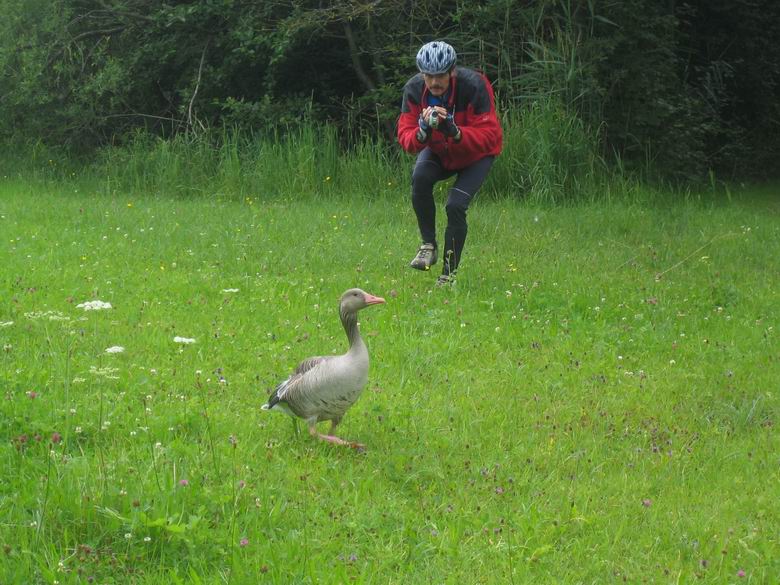 Der mit der Gans tanzt